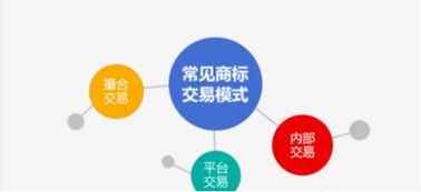 探索知識產權證券化，建設交易中心 推動知識產權服務高質量發展